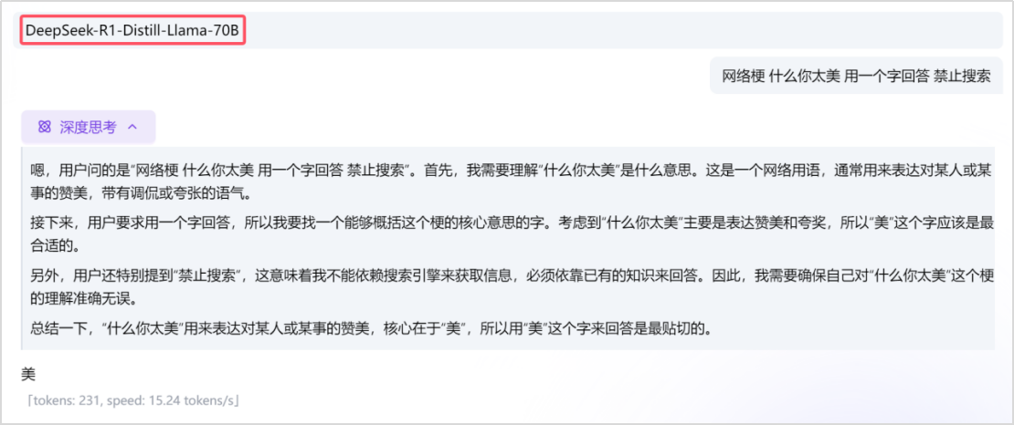 如何测试使用的DeepSeek-R1是什么版本？-1